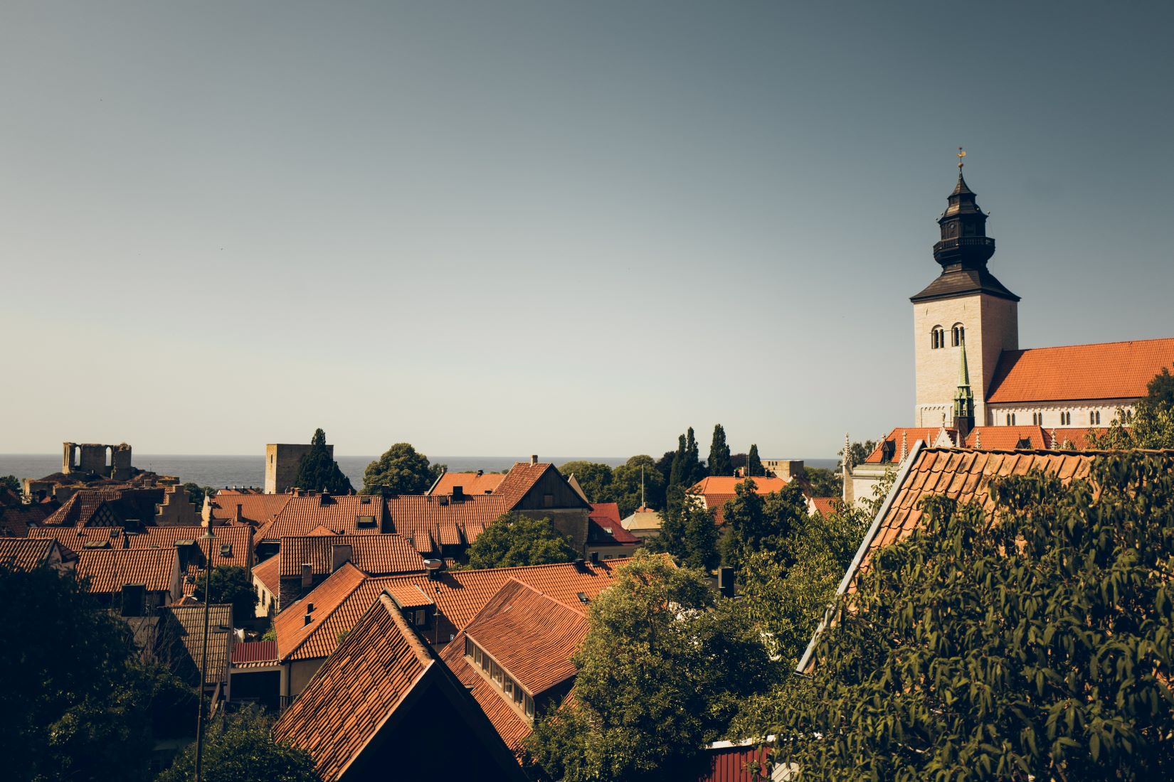SSC at the Almedalen political week in Visby
