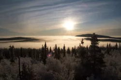 Sunrise at Esrange Sunrise view over a foggy forest at Esrange