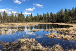 A lake near Esrange.